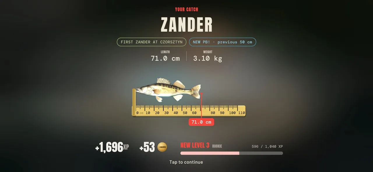 Catch card: a 71 cm zander on the ruler, a new personal best